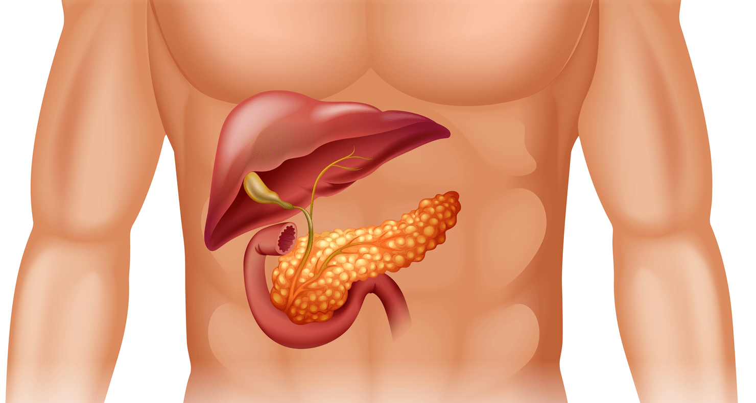 膵臓癌患者の看護（注意すべき症状・看護計画・求められるスキル）